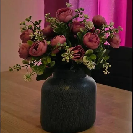 Appartamento Aurora, Liguria Rapallo